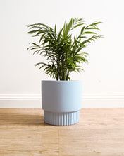 Load image into Gallery viewer, Culotta Light Blue Pot