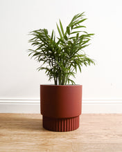 Load image into Gallery viewer, Culotta Burnt Sienna Pot