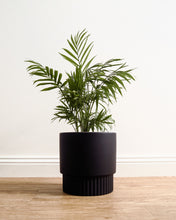 Load image into Gallery viewer, Culotta Black Pot