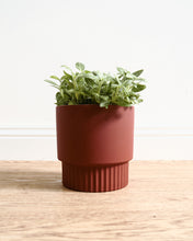 Load image into Gallery viewer, Culotta Burnt Sienna Pot