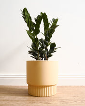 Load image into Gallery viewer, Culotta Butter Pot