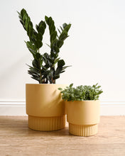 Load image into Gallery viewer, Culotta Butter Pot