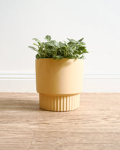 Load image into Gallery viewer, Culotta Butter Pot