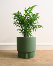 Load image into Gallery viewer, Culotta Moss Green Pot