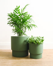 Load image into Gallery viewer, Culotta Moss Green Pot