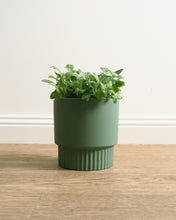 Load image into Gallery viewer, Culotta Moss Green Pot