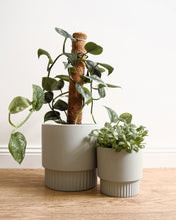 Load image into Gallery viewer, Culotta Light Grey Pot