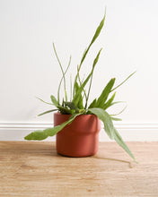 Load image into Gallery viewer, Elka Marsala Pot