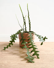 Load image into Gallery viewer, Elka Nude Pot