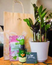 Load image into Gallery viewer, Plant and Pot Combos