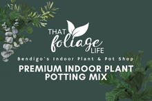 Load image into Gallery viewer, That Foliage Life Premium Indoor Plant Potting Mix 1.5kg