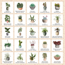 Load image into Gallery viewer, Plant Bingo game