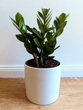 Load image into Gallery viewer, Zanzibar Gem 170mm