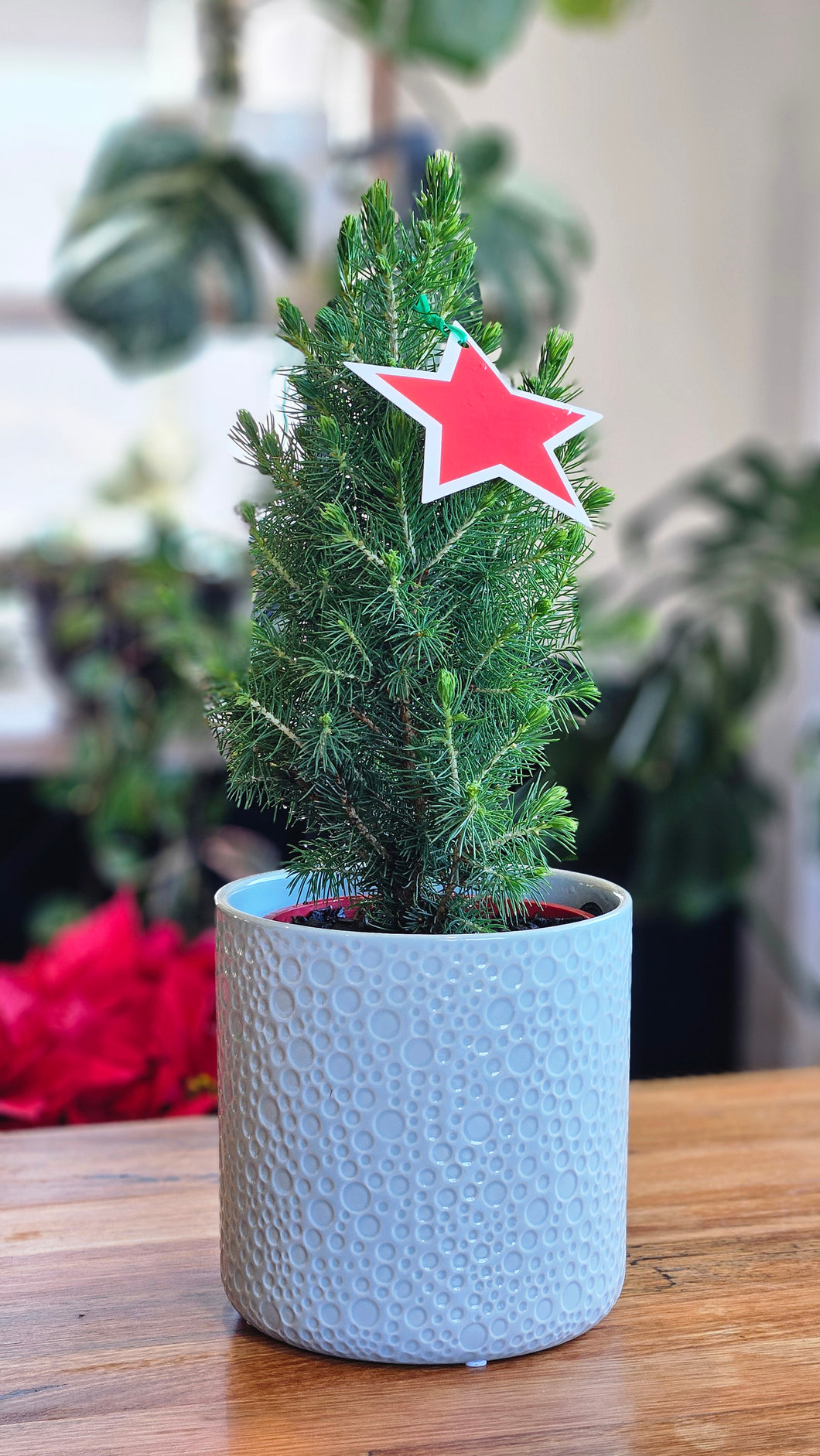 Mini Christmas Tree 150mm