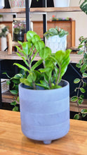 Load image into Gallery viewer, Plant and Pot Combos
