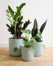 Load image into Gallery viewer, Dottie Pot Mint Green

