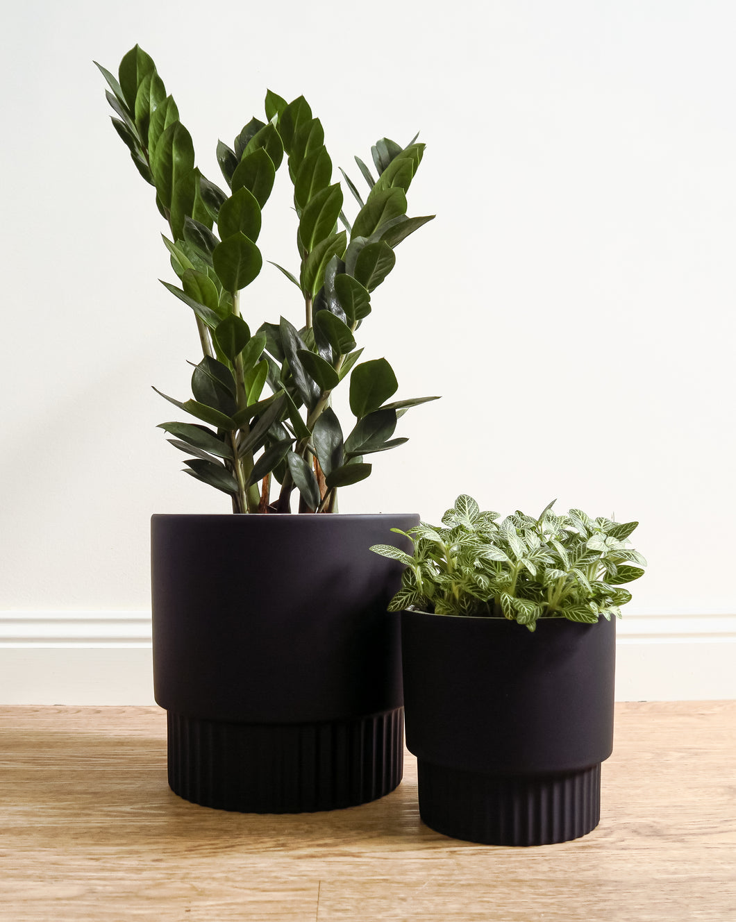 Culotta Black Pot