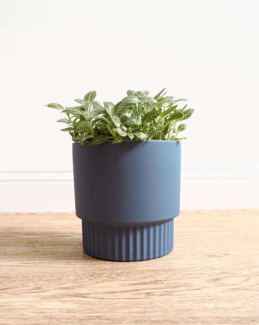 Culotta Petrol Blue Pot