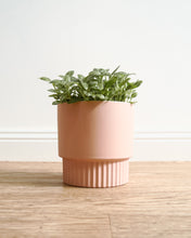 Load image into Gallery viewer, Culotta Pink Pot
