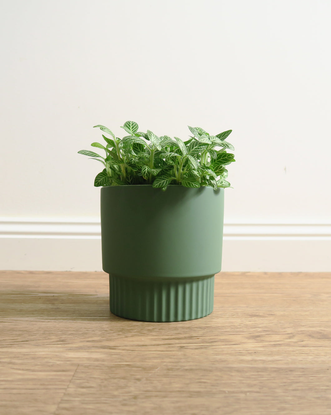 Culotta Moss Green Pot