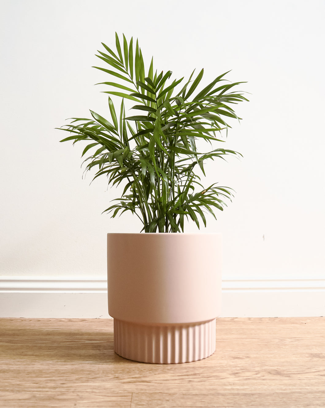 Culotta  Light Pink Pot