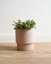 Load image into Gallery viewer, Culotta  Light Pink Pot
