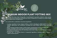 Load image into Gallery viewer, That Foliage Life Premium Indoor Plant Potting Mix 1.5kg
