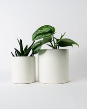 Load image into Gallery viewer, Dani Cylinder Plant Pot Matte White
