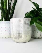 Load image into Gallery viewer, LUNA Pot Striped White
