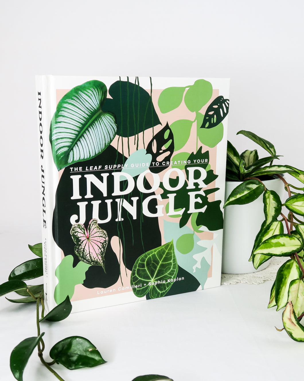 Indoor Jungle - the Leaf Supply Guide to Creating Your Indoor Jungle