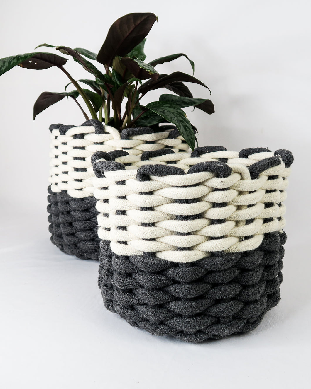 Cotton Rope Basket in White/Grey Set of 2