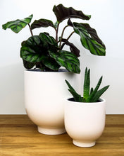 Load image into Gallery viewer, DRÖMSK White plant pot
