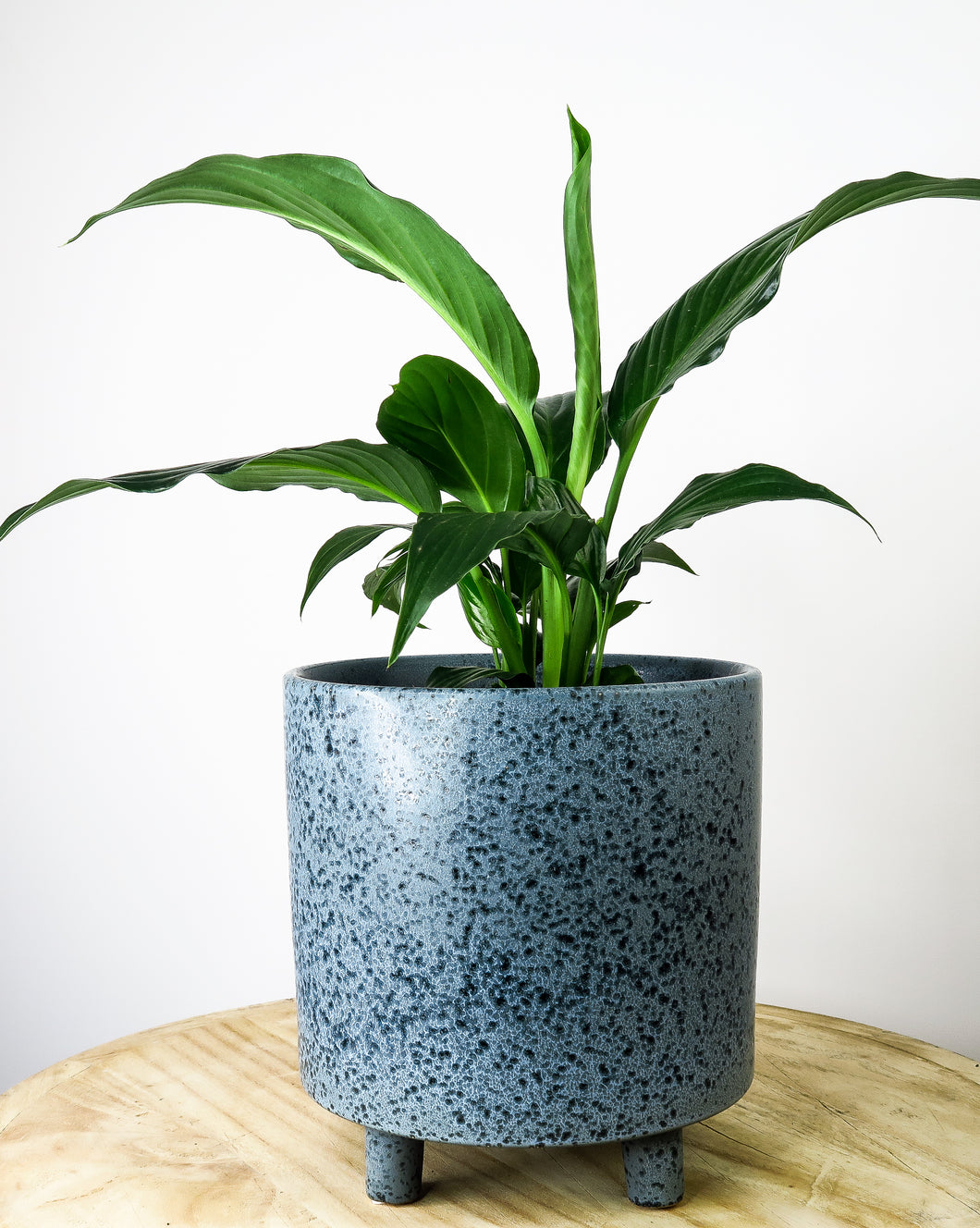 Blue Cresta Pot