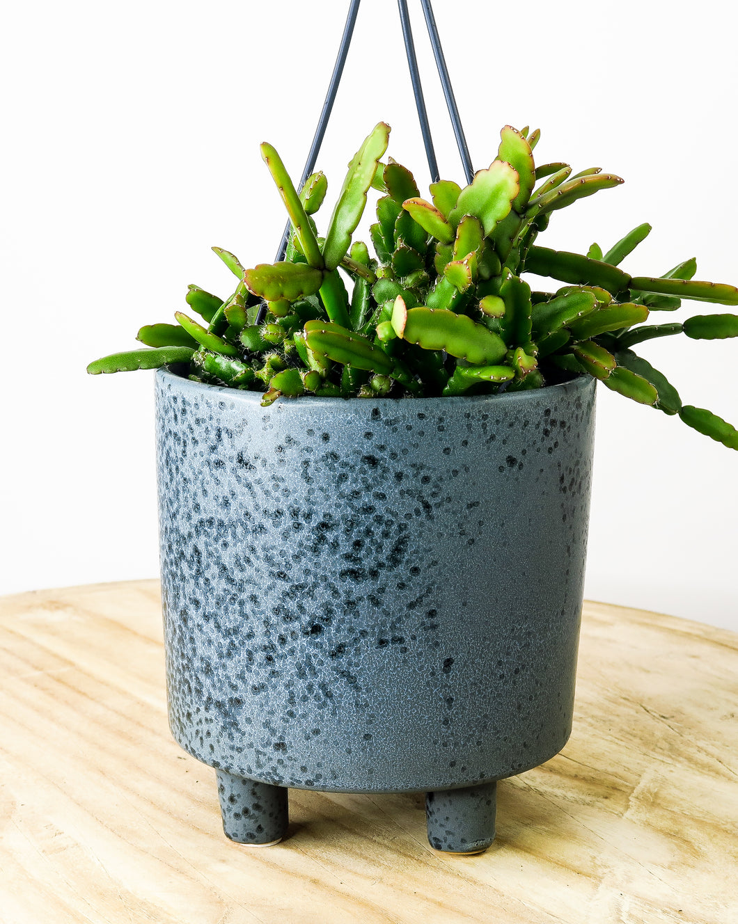 Blue Cresta Pot