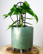 Load image into Gallery viewer, Green and Gold Cresta Pot

