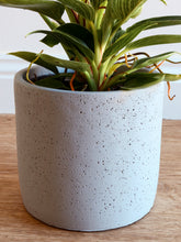 Load image into Gallery viewer, Dani Pot Cement Grey 120mm
