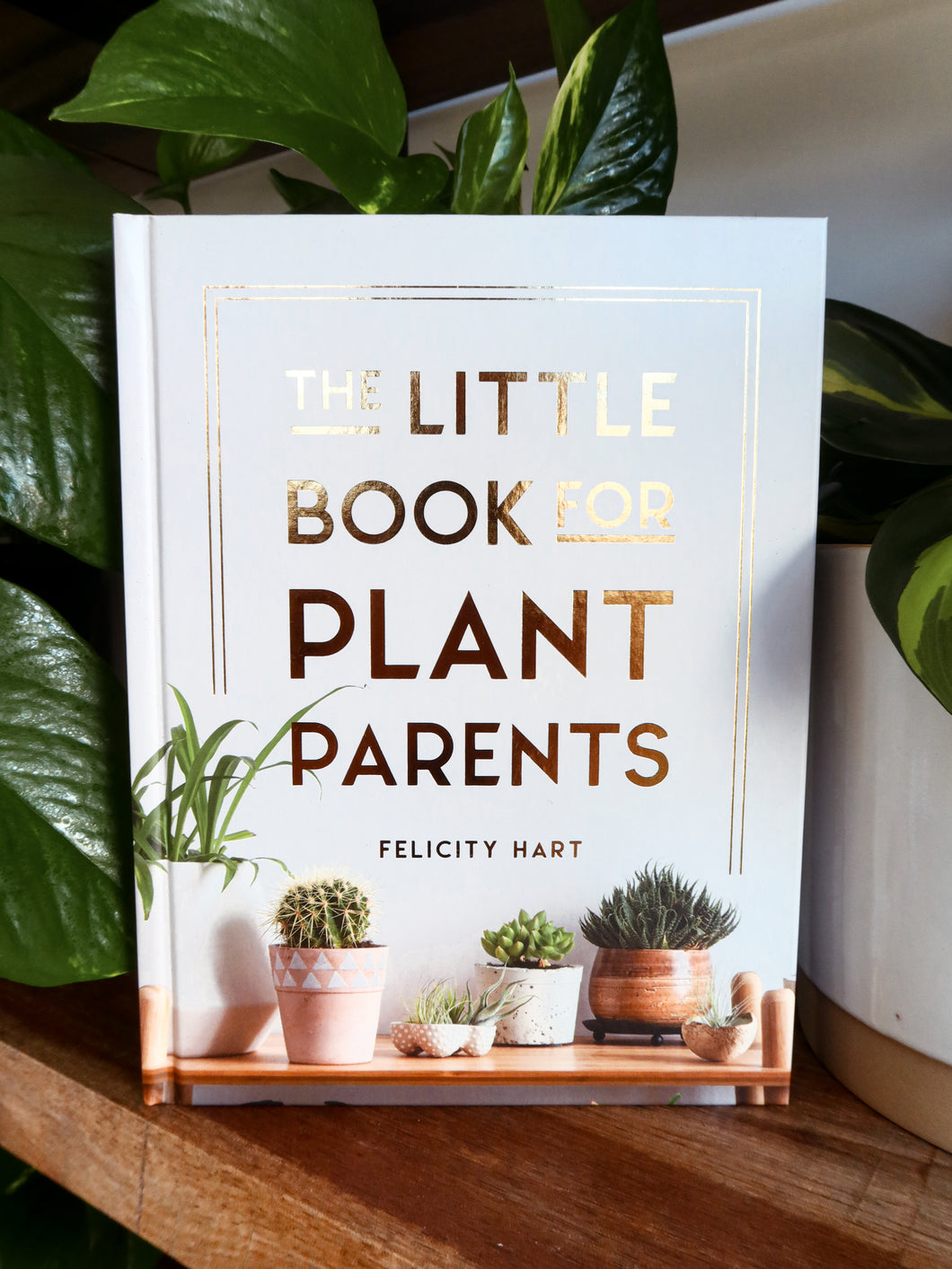 The Little Book for Plant Parents by Felicity Hart