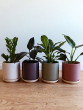 Load image into Gallery viewer, Hugo Cylinder Pot
