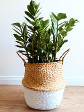 Load image into Gallery viewer, Tonga Seagrass Basket Natural &amp; White
