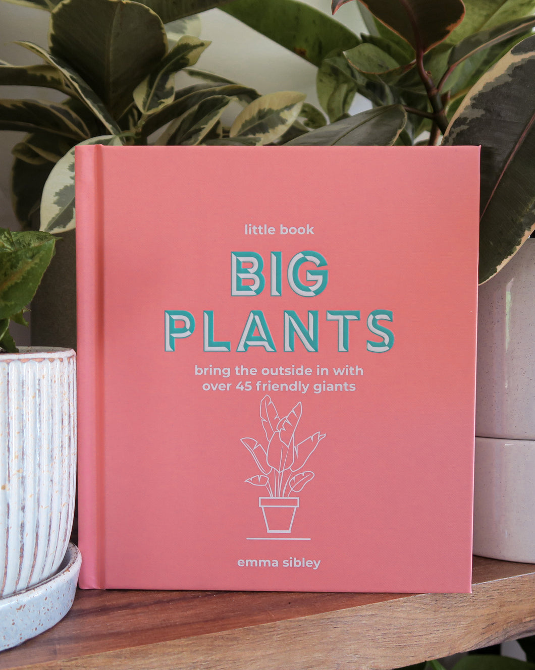 Little Book, Big Plants By Emma Sibley