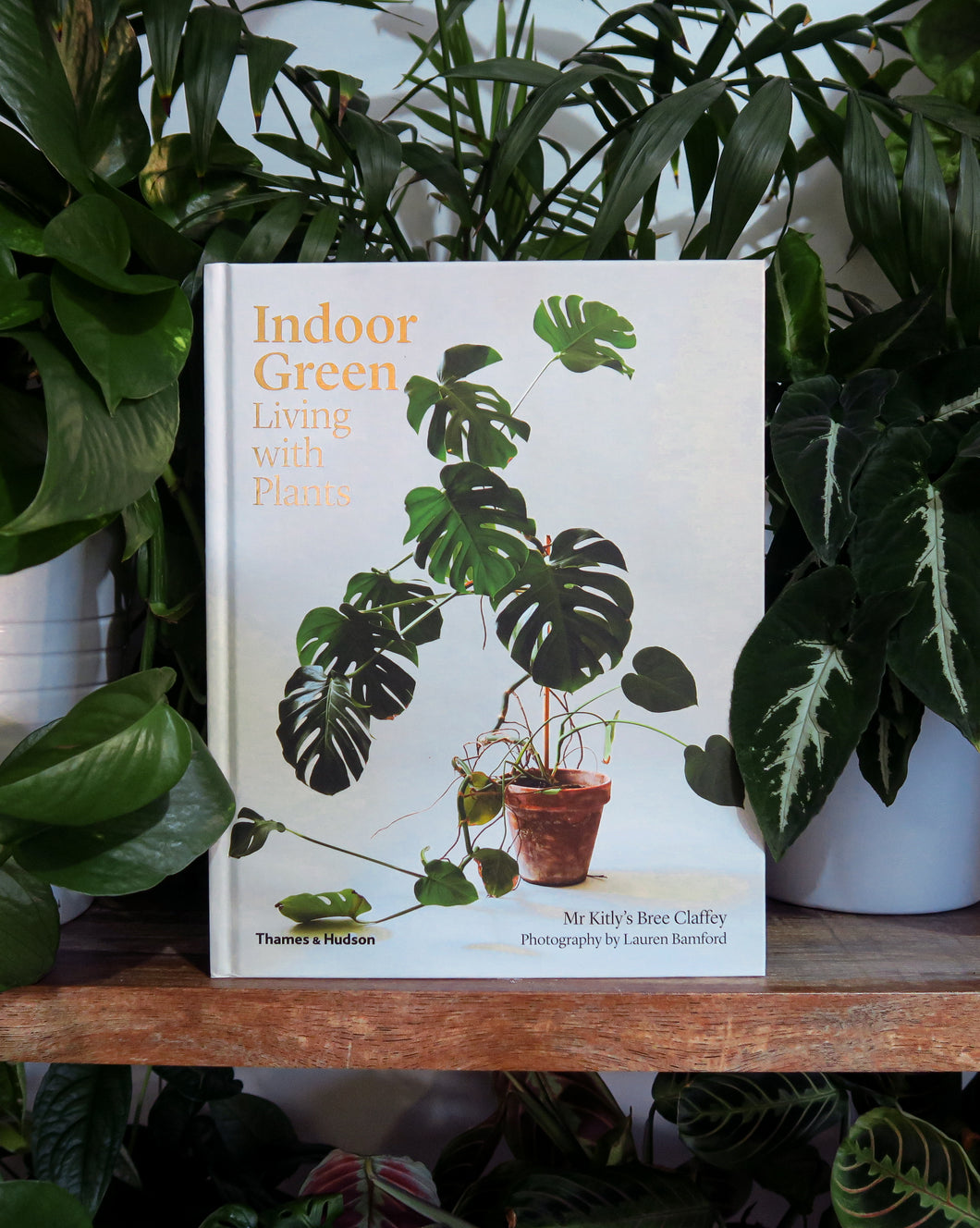 Indoor Green: Living with Plants