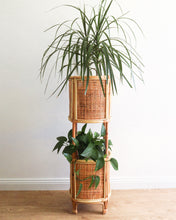 Load image into Gallery viewer, Montana Plant Stand
