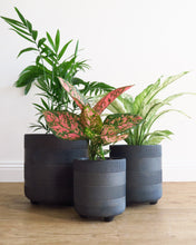 Load image into Gallery viewer, Winston Cylinder Pot with Feet BLACK
