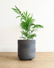 Load image into Gallery viewer, Winston Cylinder Pot with Feet BLACK
