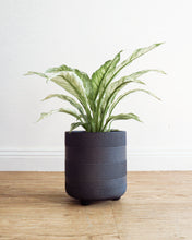 Load image into Gallery viewer, Winston Cylinder Pot with Feet BLACK
