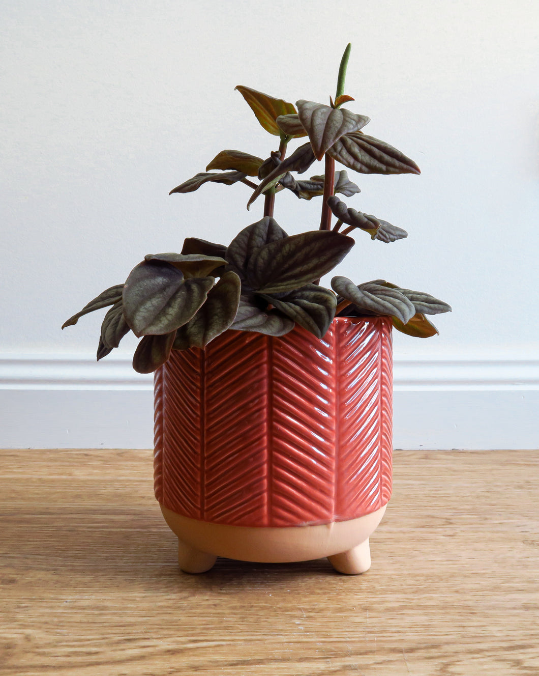 Zari Pot Terracotta 130mm