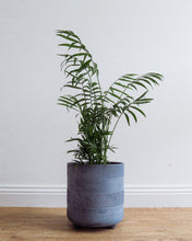 Load image into Gallery viewer, Winston Cylinder Pot with Feet GREY
