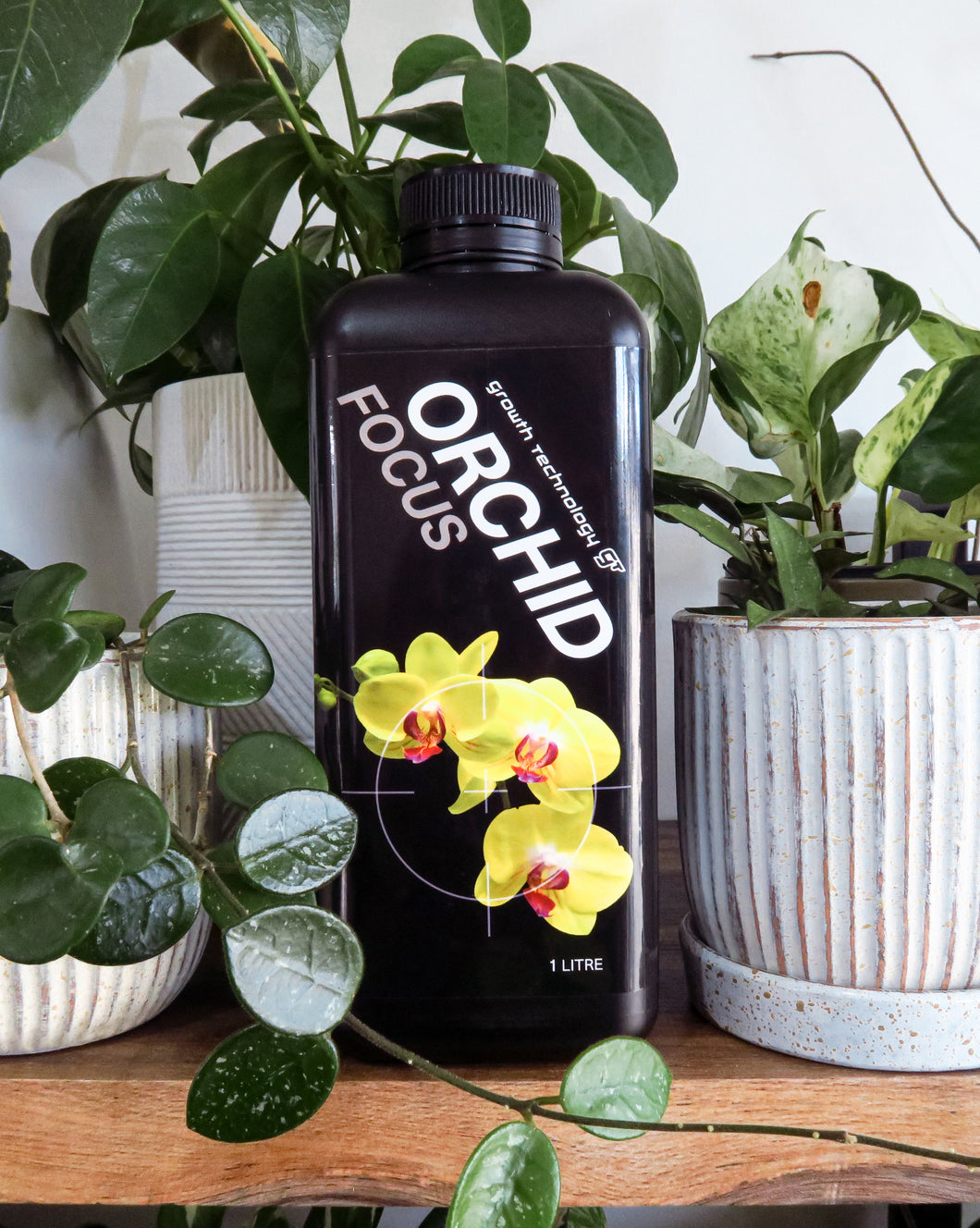 GT ORCHID Focus plant food from Growth Technology 1 ltr
